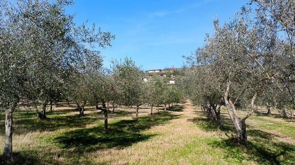 Casale San Pietro Bed & Breakfast Anagni Luaran gambar